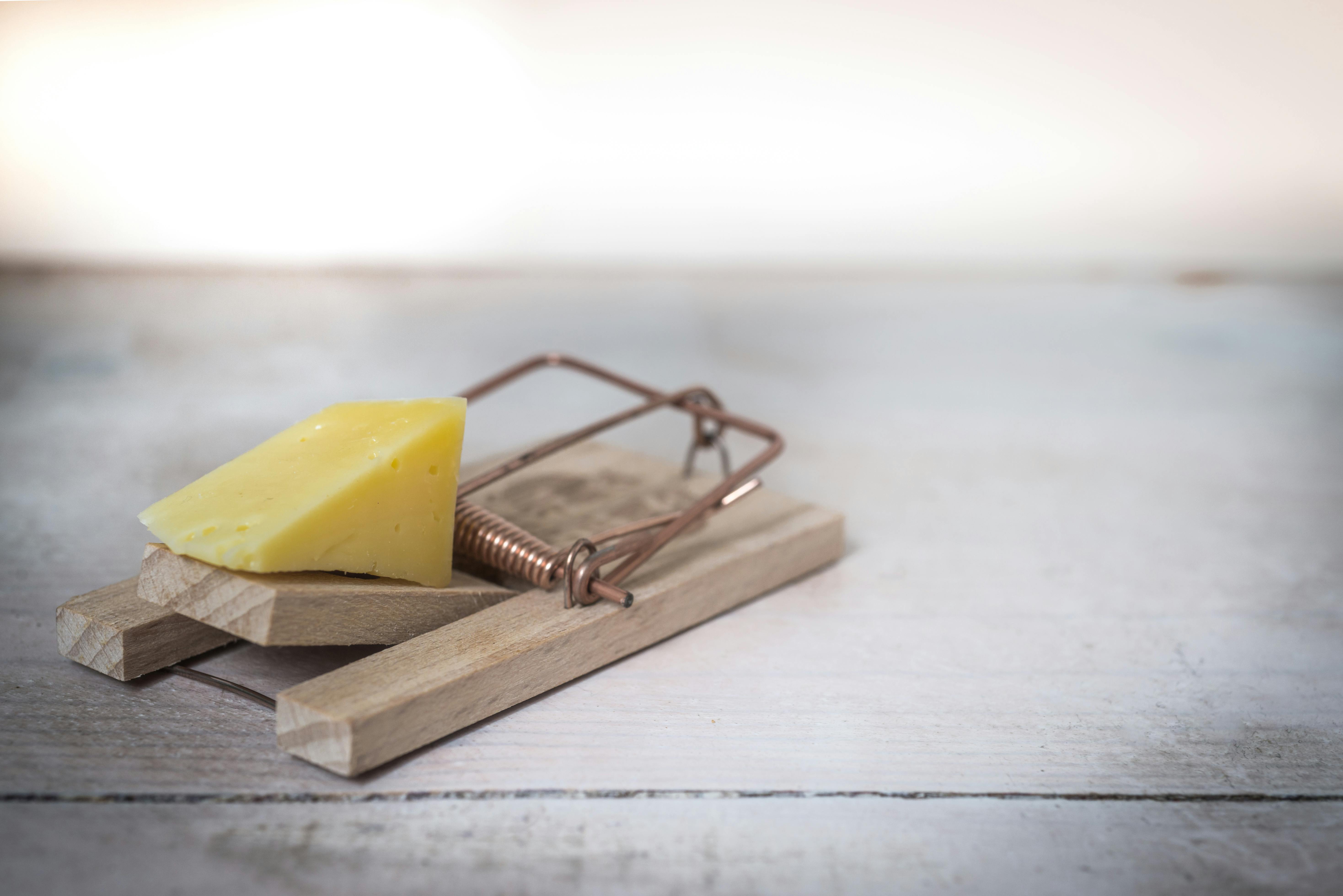 For informational purposes, demonstrates the appearance of a common mouse trap